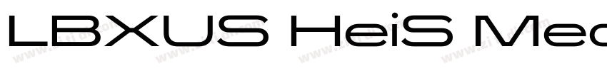 LBXUS HeiS Medium U字体转换